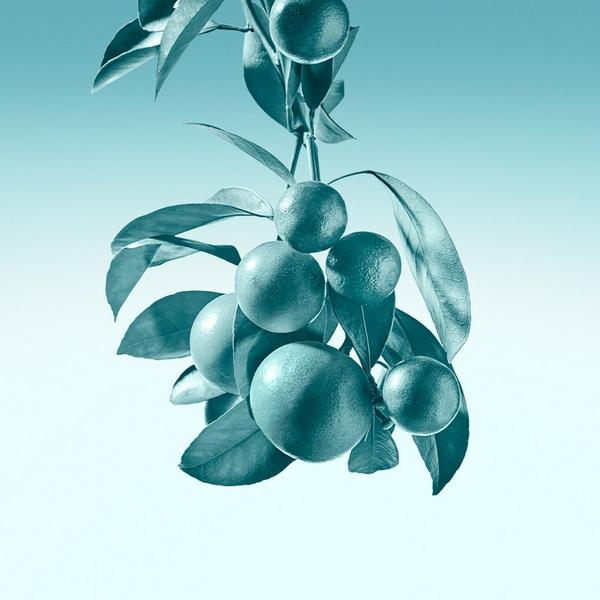 Tiffany & Co. Tiffany Eau de Parfum 3-Piece Gift Set #3