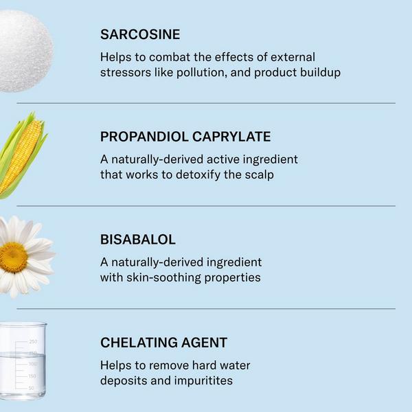 SEEN Scalp Clarifying Shampoo #6