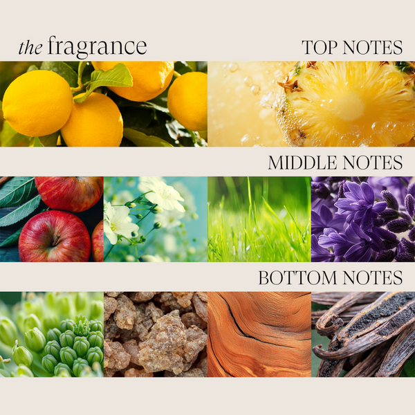 L'anza Healing ColorCare Shampoo #6