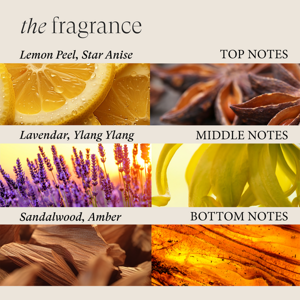 L'anza Scalp Therapy Balancing Shampoo #5