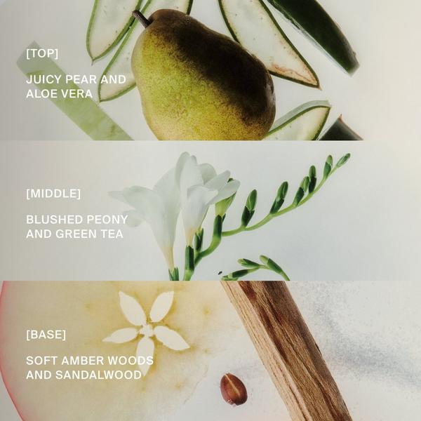 Living Proof Limited Edition PhD Advanced Clean Dry Shampoo Sun-kissed Pear #6