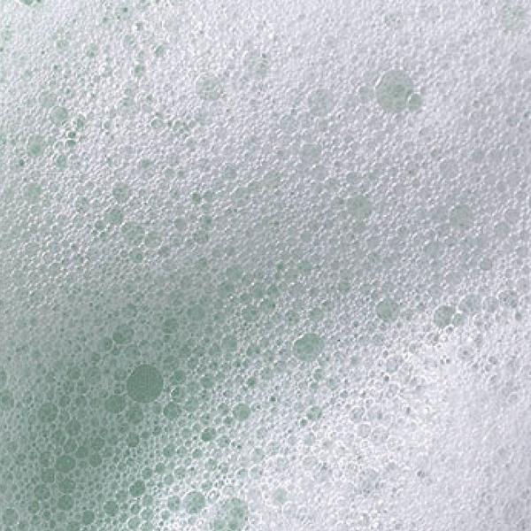 ERLY Face Foam Gentle Facial Cleanser #7