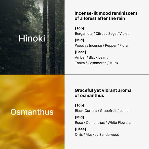 LADOR Perfumed Hair Treatment Hinoki #6