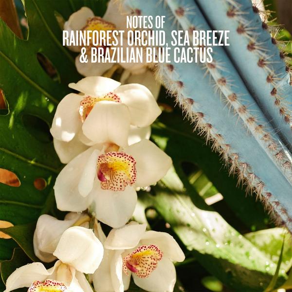 Sol de Janeiro Limited Edition Refresco Paraíso Perfume Mist #2