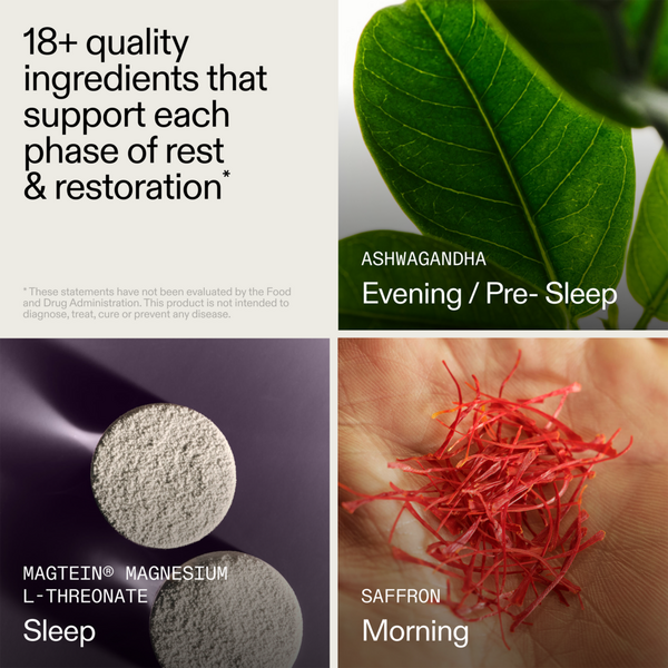 AG1 AGZ Nightly Rest & Restore Sleep Supplement #5