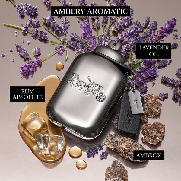 Coach Pure Platinum Parfum #3