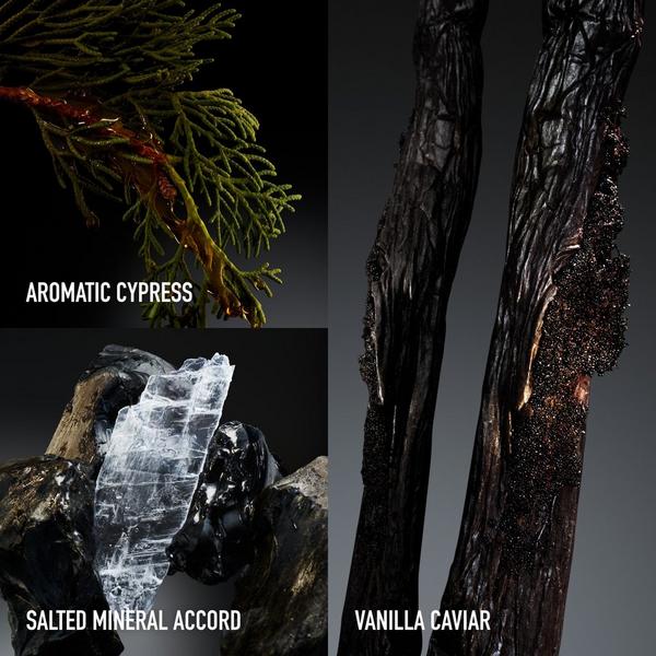 Rabanne Invictus Elixir Parfum Elixir #3