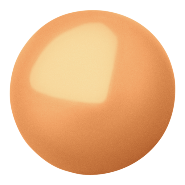 Rare Beauty True to Myself Natural Matte Longwear Foundation #2