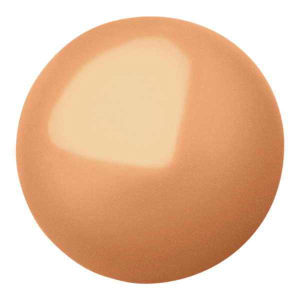 Rare Beauty True to Myself Natural Matte Longwear Foundation #2
