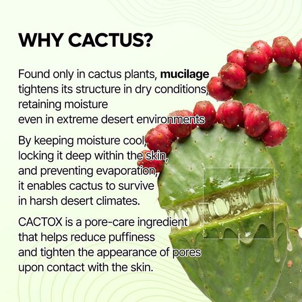 Dr. Melaxin CACTOX Pore Relief Jelly Serum Mist #5