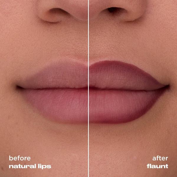 Urban Decay Cosmetics Lip Toy Staining Brush Lip Liner #4