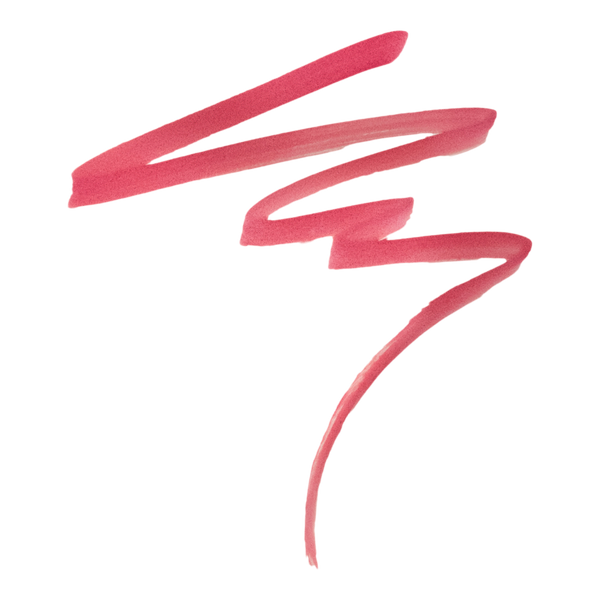 Urban Decay Cosmetics Lip Toy Staining Brush Lip Liner #2