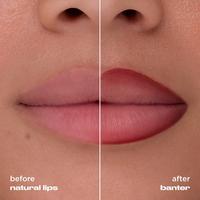 Urban Decay Cosmetics Lip Toy Staining Brush Lip Liner #4