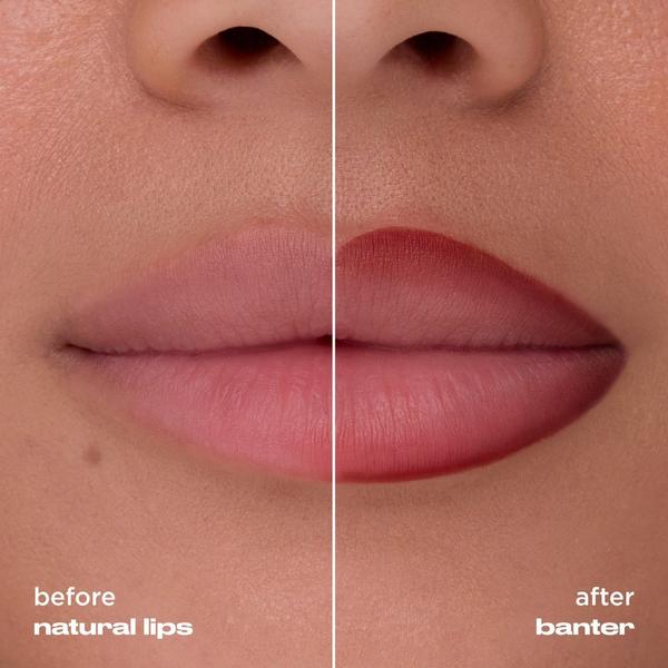 Urban Decay Cosmetics Lip Toy Staining Brush Lip Liner #4
