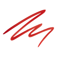 Urban Decay Cosmetics Lip Toy Staining Brush Lip Liner #2