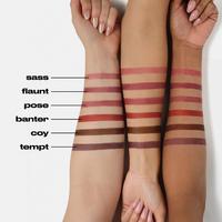 Urban Decay Cosmetics Lip Toy Staining Brush Lip Liner #9