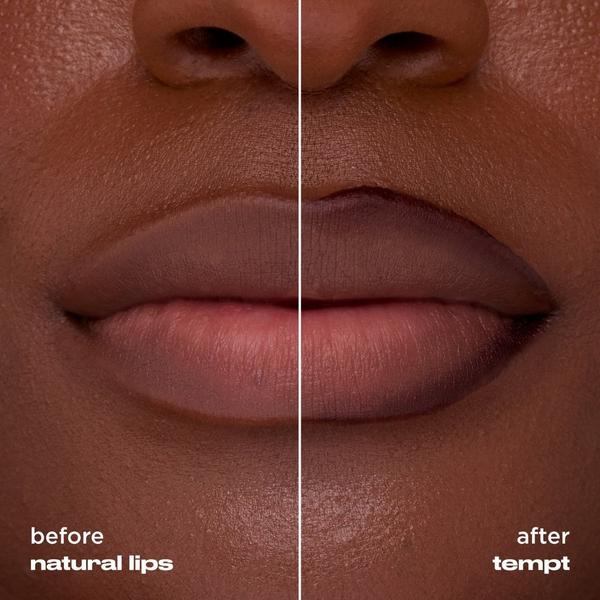Urban Decay Cosmetics Lip Toy Staining Brush Lip Liner #4
