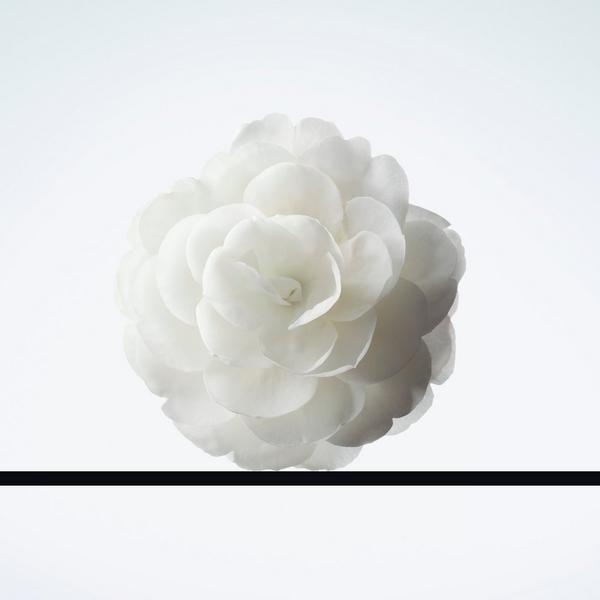CHANEL DÉMAQUILLANT LACTÉ INTENSE Gentle Makeup Remover for Eyes and Lips #7