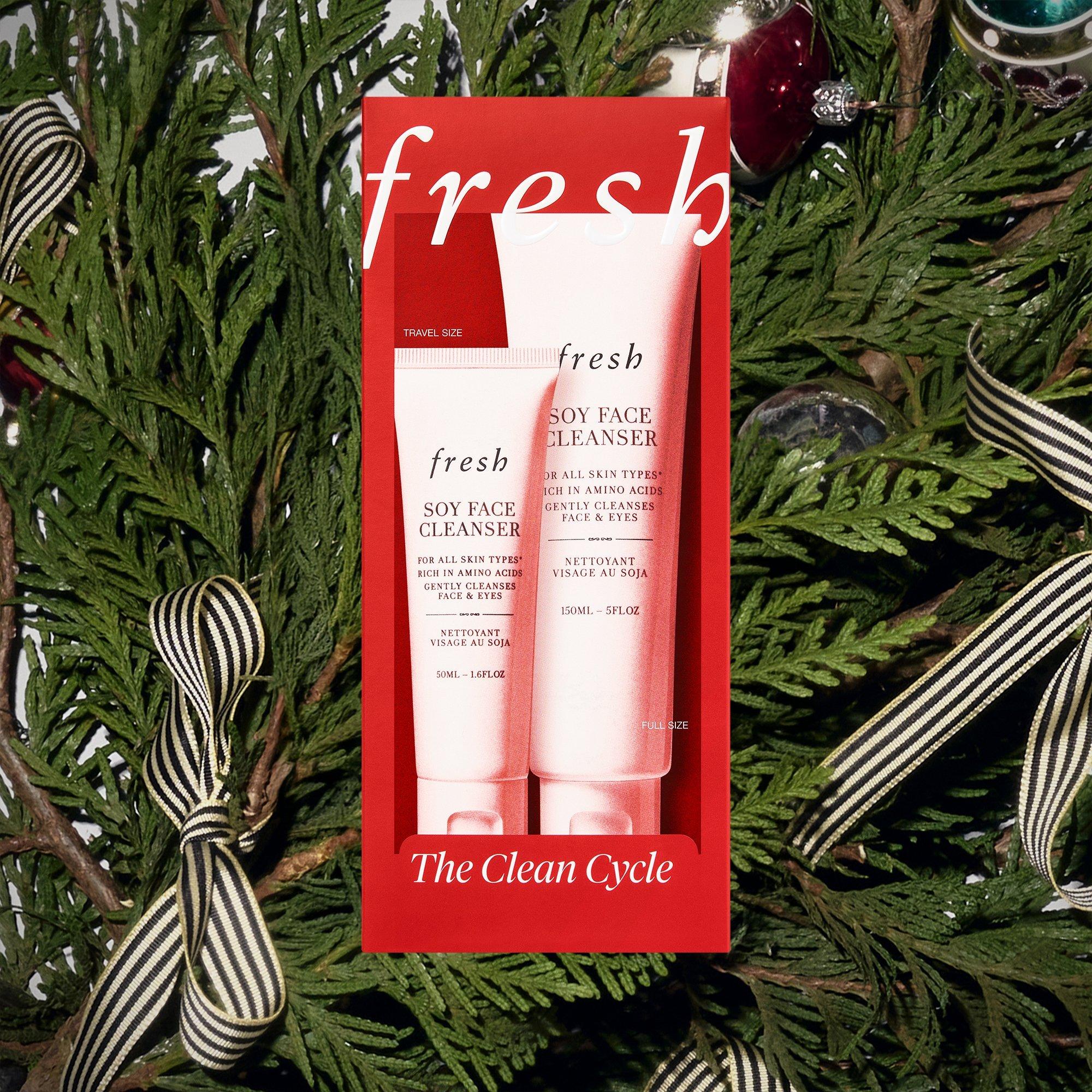 Очищающее средство fresh The Clean Cycle — фото 2