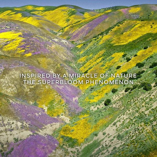 Guerlain Aqua Allegoria Florabloom Forte Eau de Parfum #4