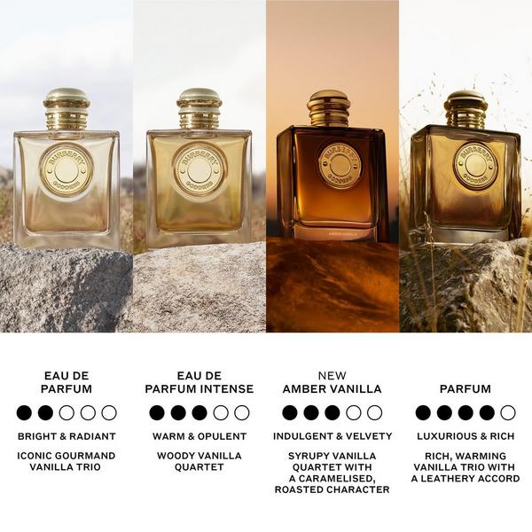 Goddess Amber Vanilla Eau de Parfum Intense 5