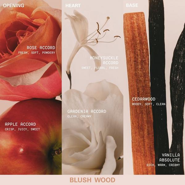 KYLIE COSMETICS Mood Stones Kylie Jenner Collection Blush Wood Eau de Parfum #4