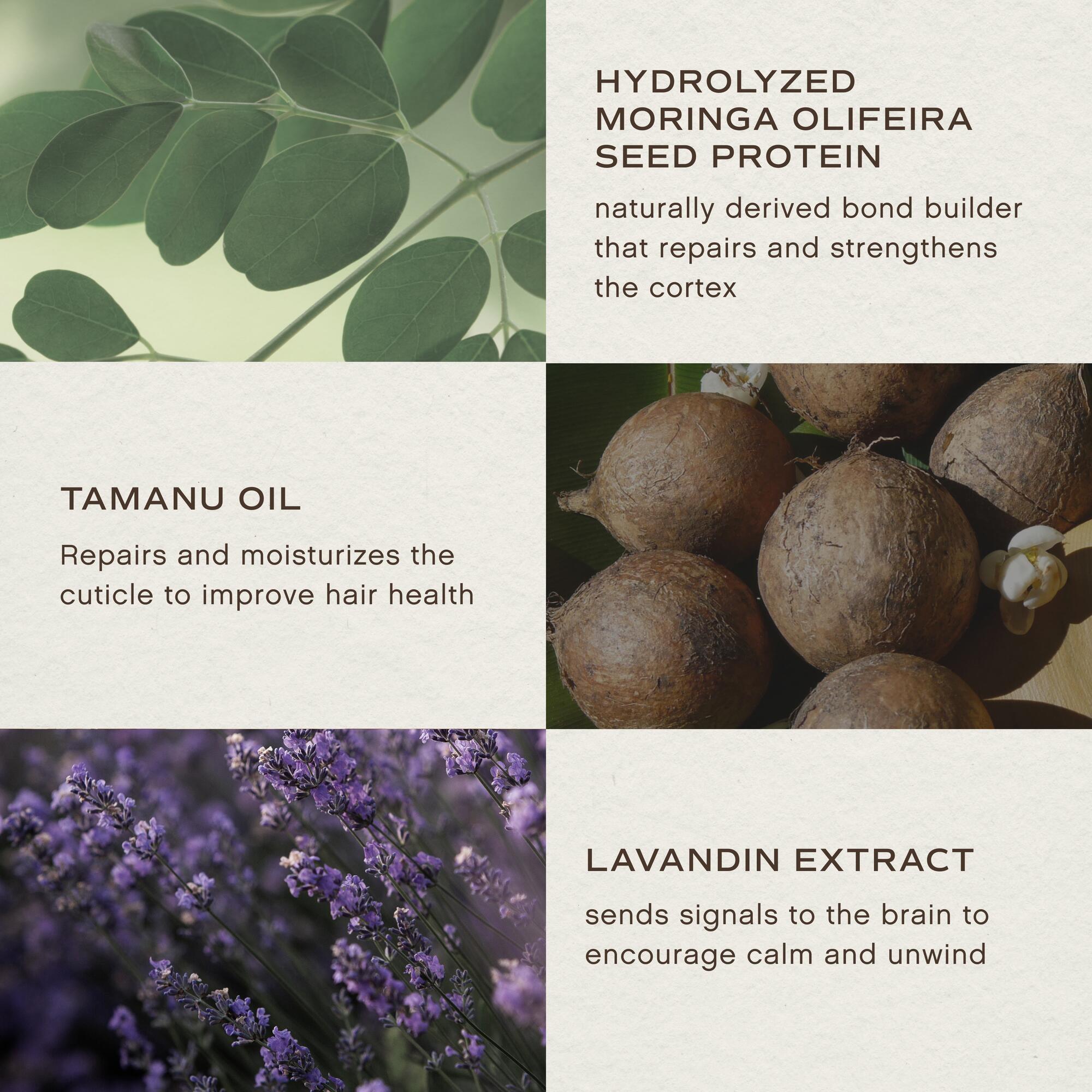 Ночная восстанавливающая сыворотка Innersense Organic Beauty — фото 6