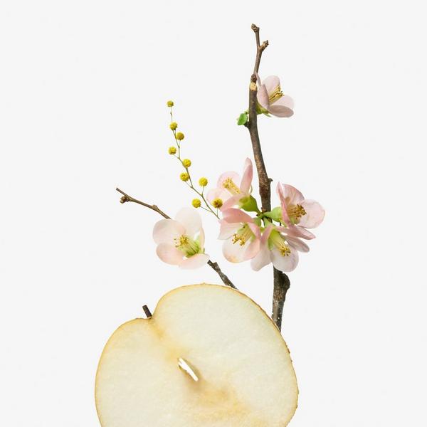 Bath & Body Works Japanese Cherry Blossom Fine Fragrance Mist #3