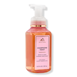 Bath & Body Works Gentle & Clean Foaming Hand Soap
