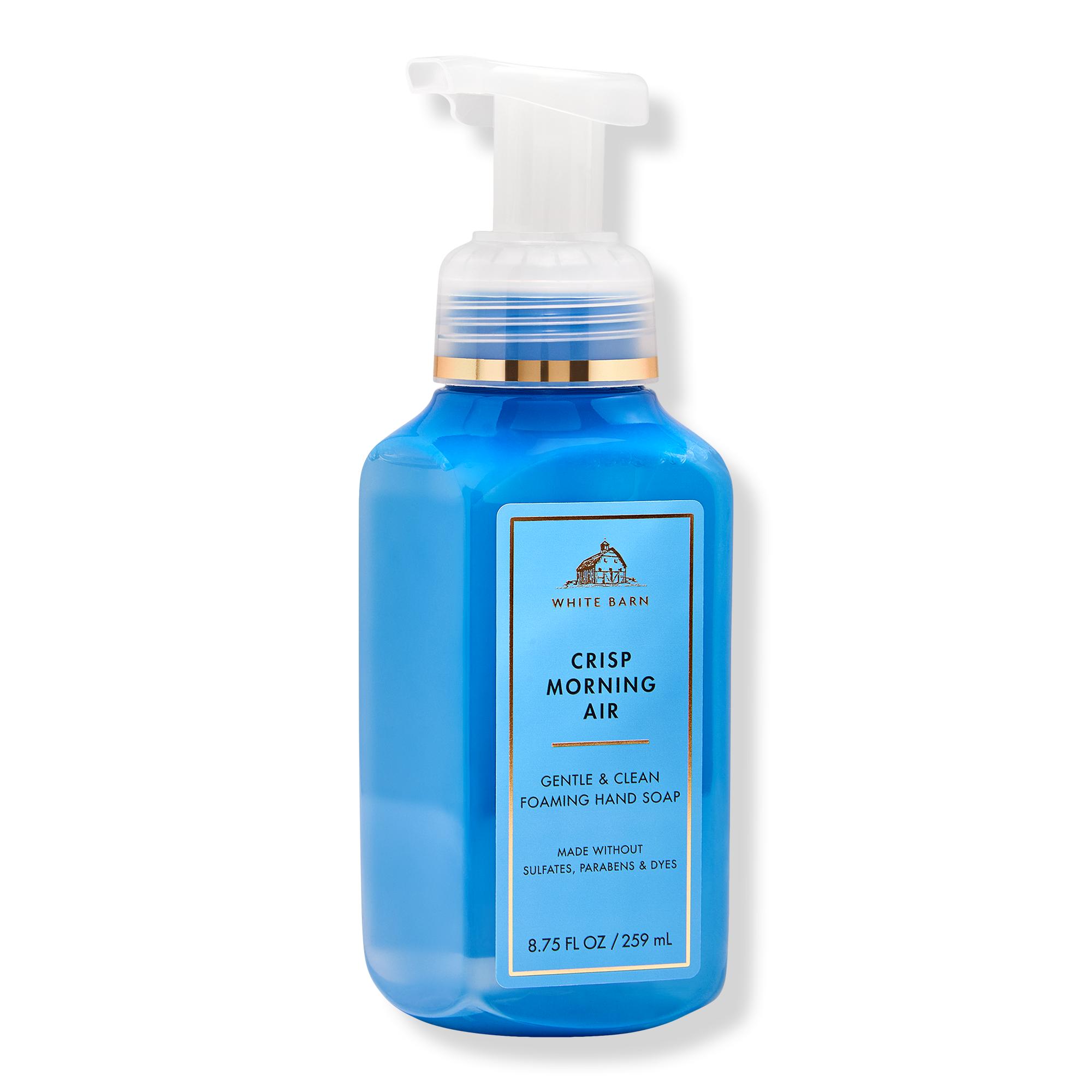 Bath & Body Works Gentle & Clean Foaming Hand Soap #1