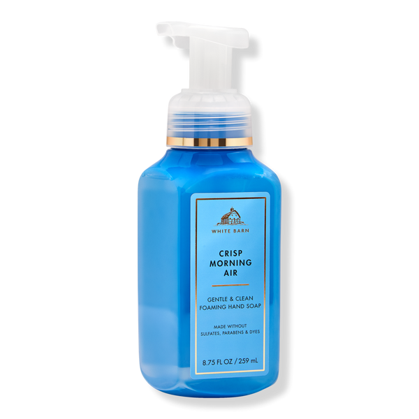 Bath & Body Works Gentle & Clean Foaming Hand Soap #1