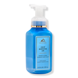 Bath & Body Works Gentle & Clean Foaming Hand Soap