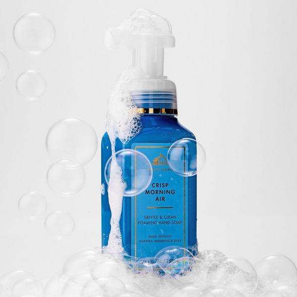 Bath & Body Works Gentle & Clean Foaming Hand Soap #4