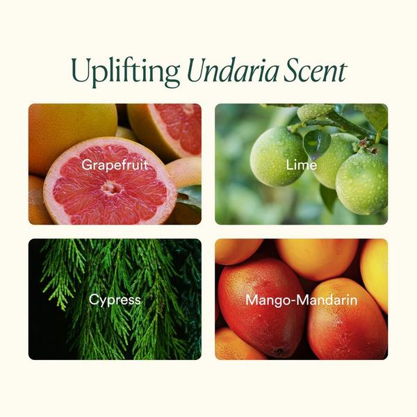 OSEA Undaria Uplift Trio #7
