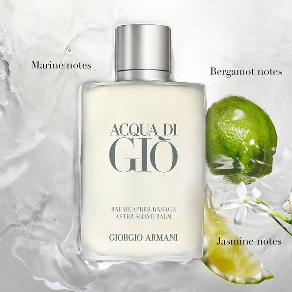 ARMANI Acqua di Giò Eau de Toilette 2 Piece Men's Fragrance Gift Set #3