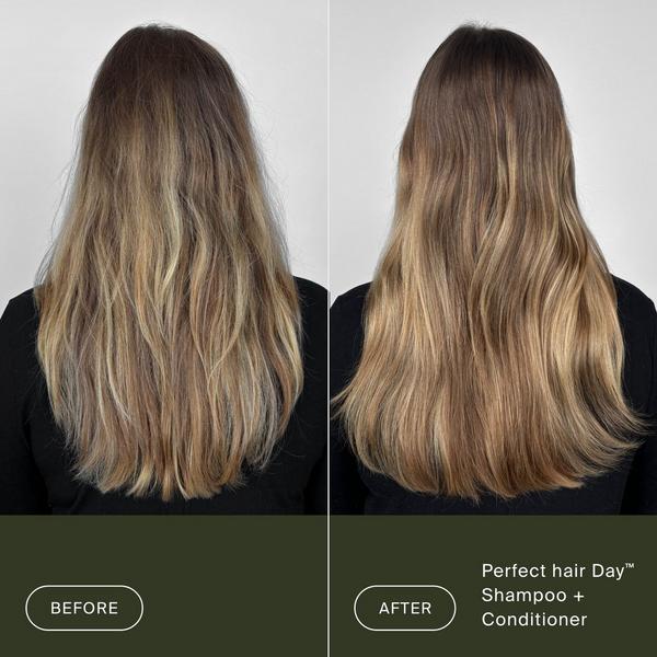 Living Proof Perfect Hair Day Hydrate & Shine Trial Kit #4