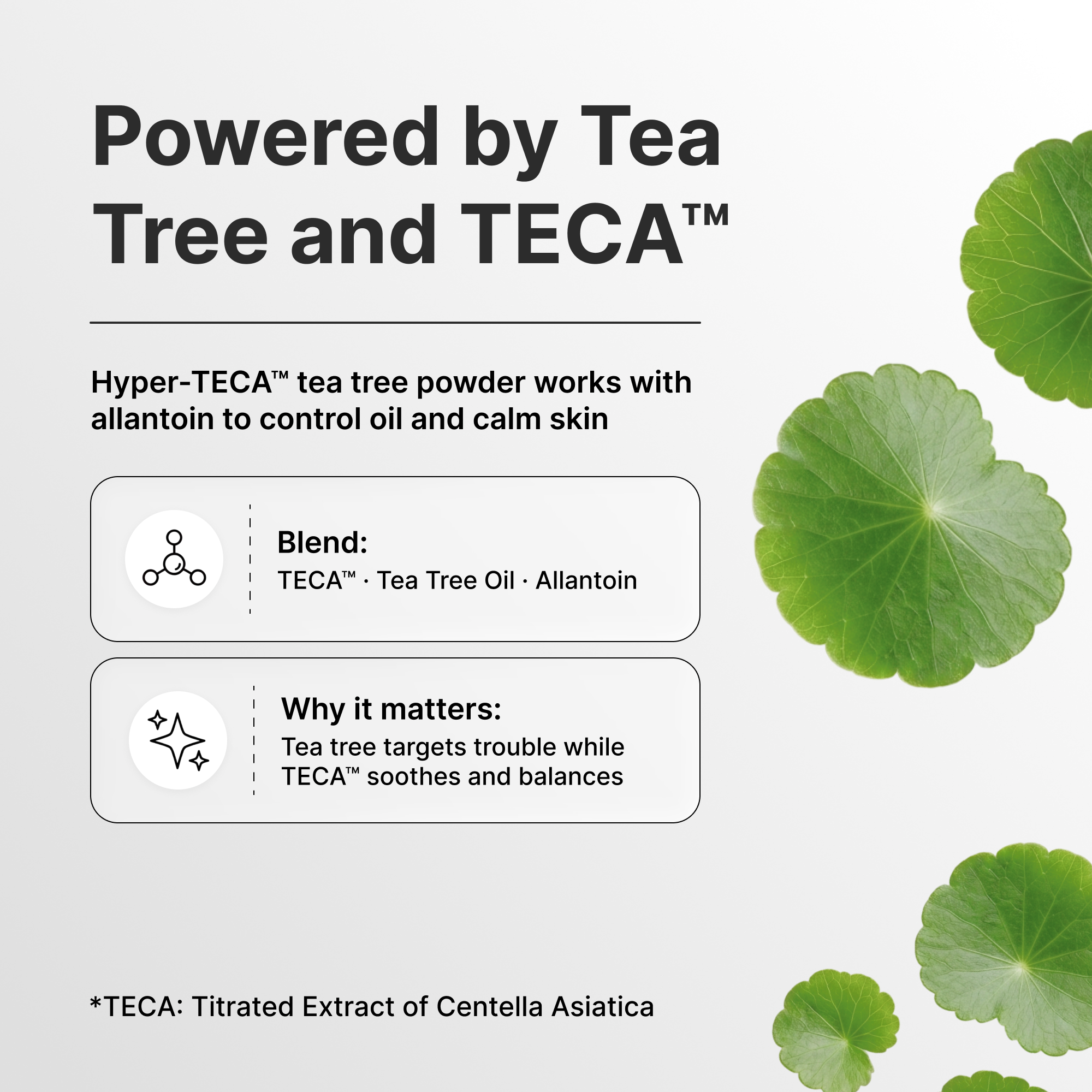 Средство для проблемной кожи с чайным деревом Centellian24 Madeca Powder Tea Tree AC — фото 7