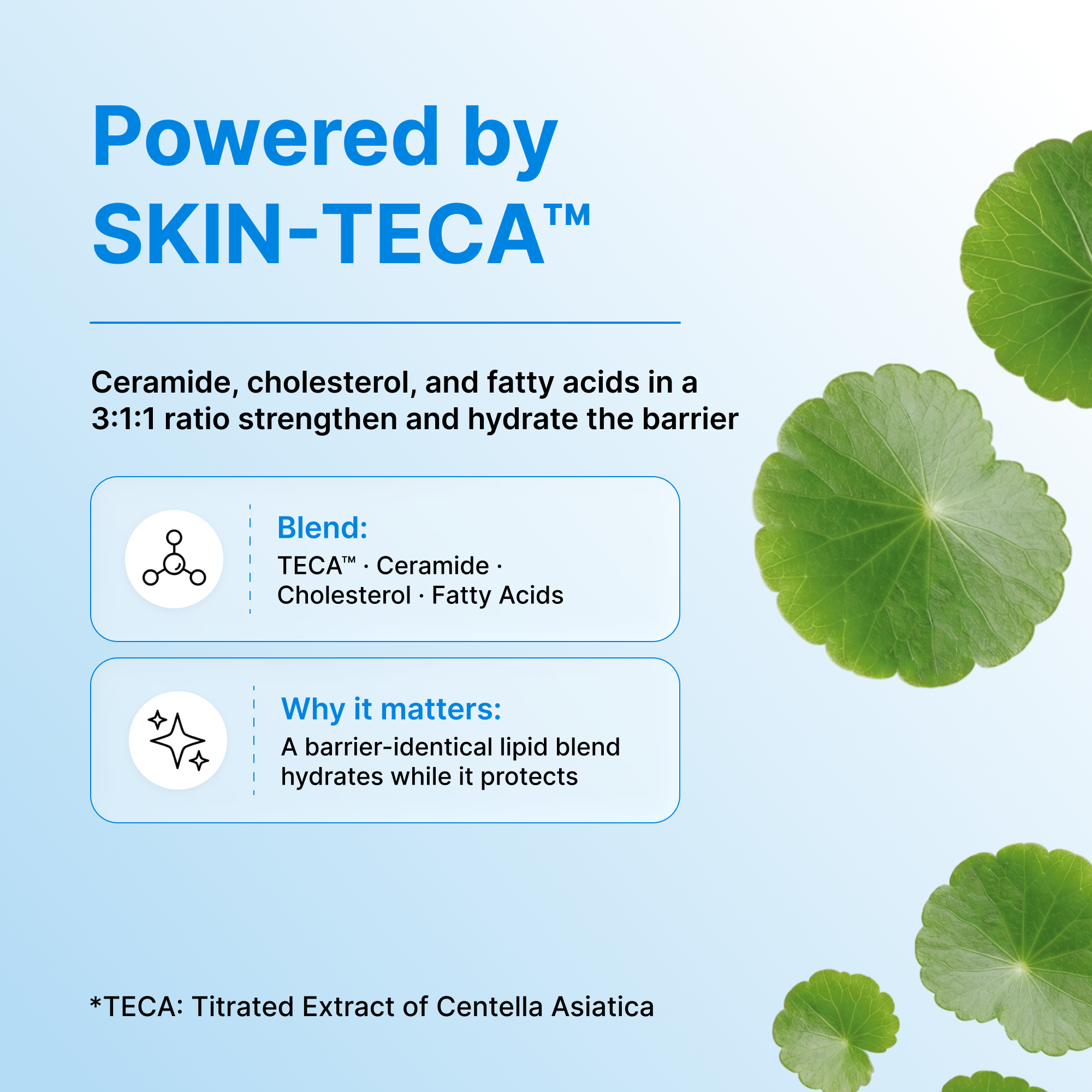 Солнцезащитный крем с сиянием SPF 50+ Centellian24 Madeca Derma Shield Vital Dewy — фото 7