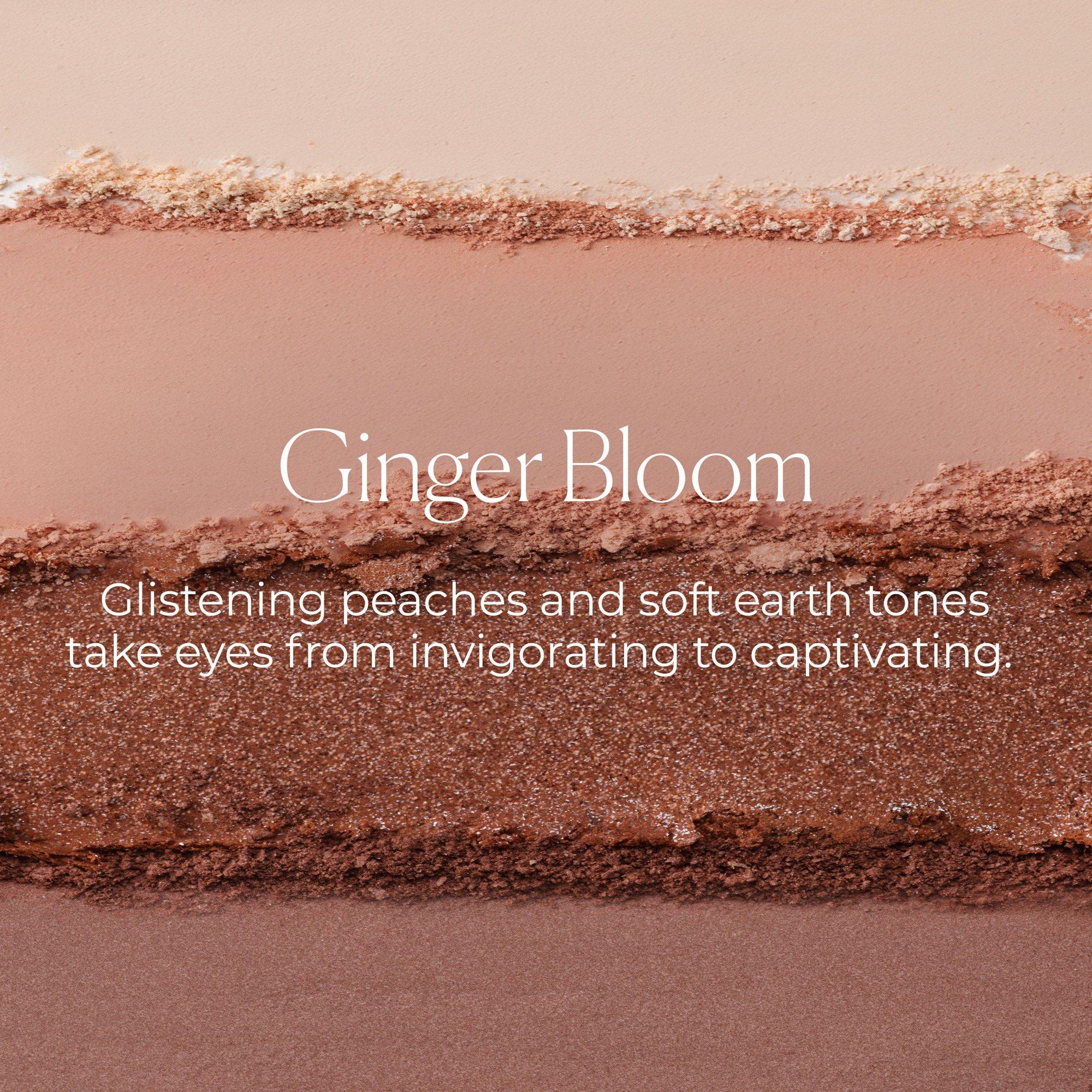 Квартет теней Laura Mercier Caviar, цвет: Ginger Bloom — фото 3