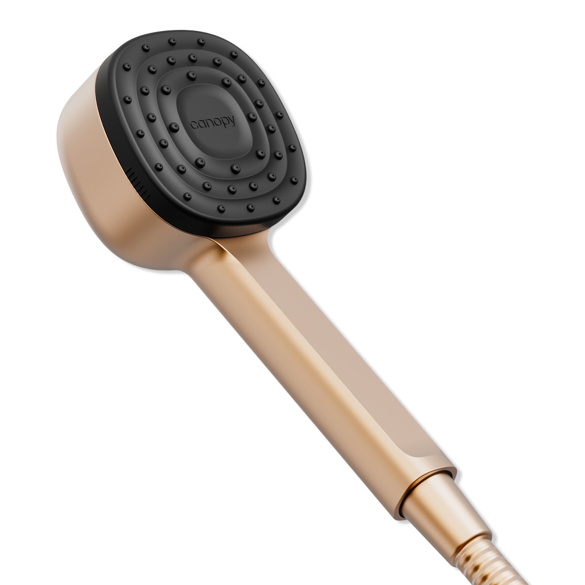 Canopy Handheld Filtered Showerhead #1