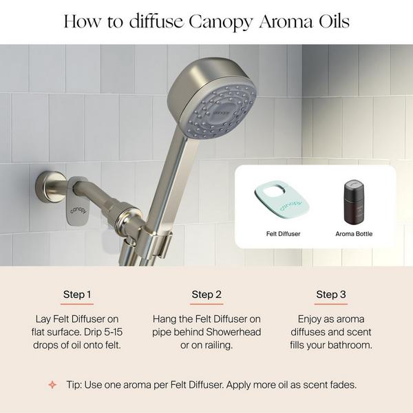 Canopy Handheld Filtered Showerhead #7
