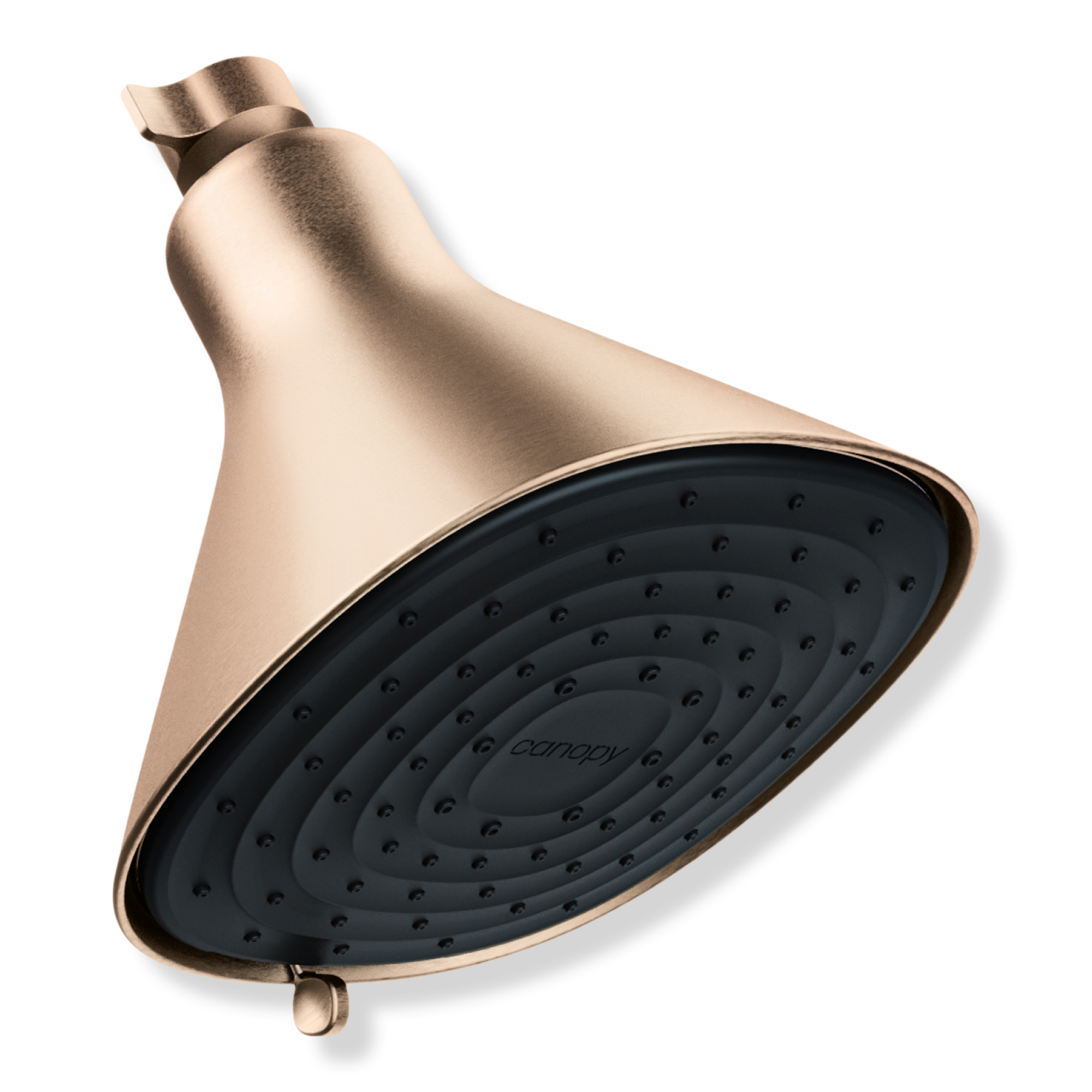 Canopy Filtered Showerhead #1