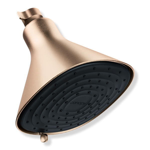 Canopy Filtered Showerhead #1