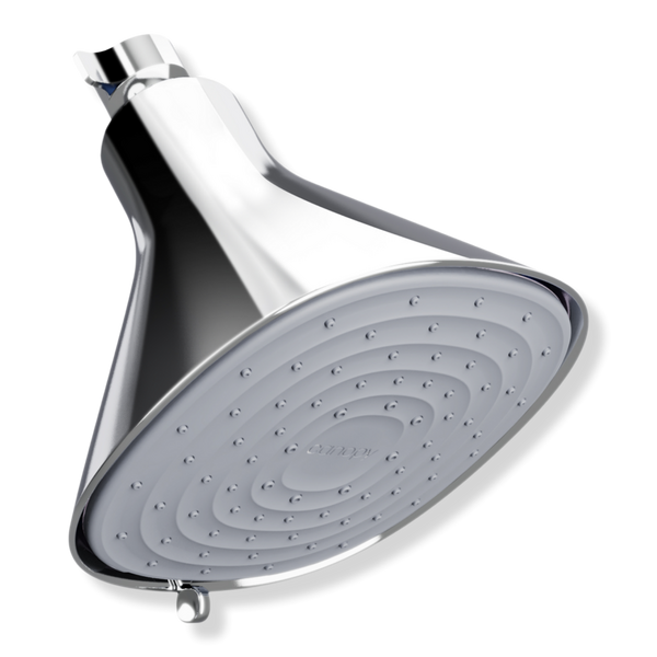 Canopy Filtered Showerhead #1
