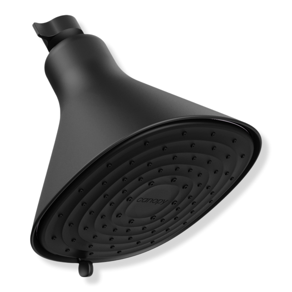Canopy Filtered Showerhead #1