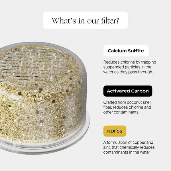 Canopy Showerhead Filters #2