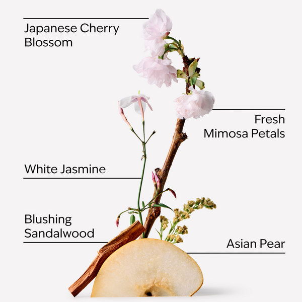 Bath & Body Works PocketBac Hand Sanitizer #3