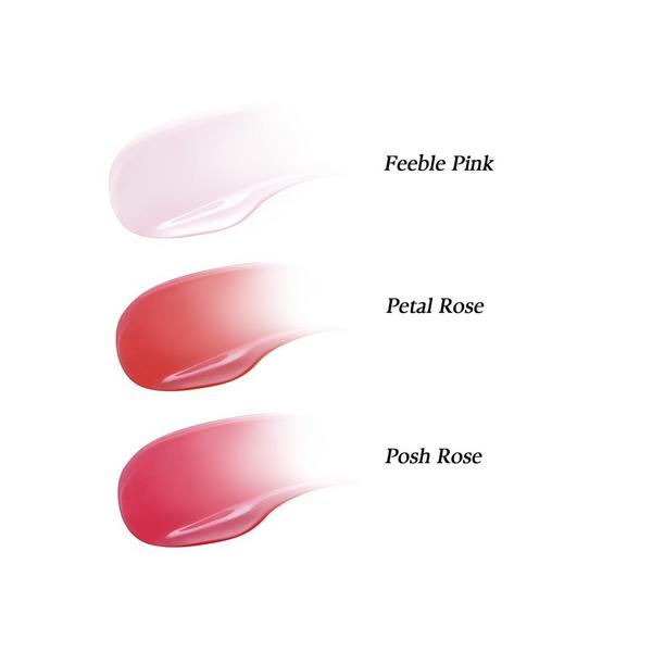 d'Alba Piedmont Plumping Lip Volumizer & Glow Gloss 3 Color Set #2