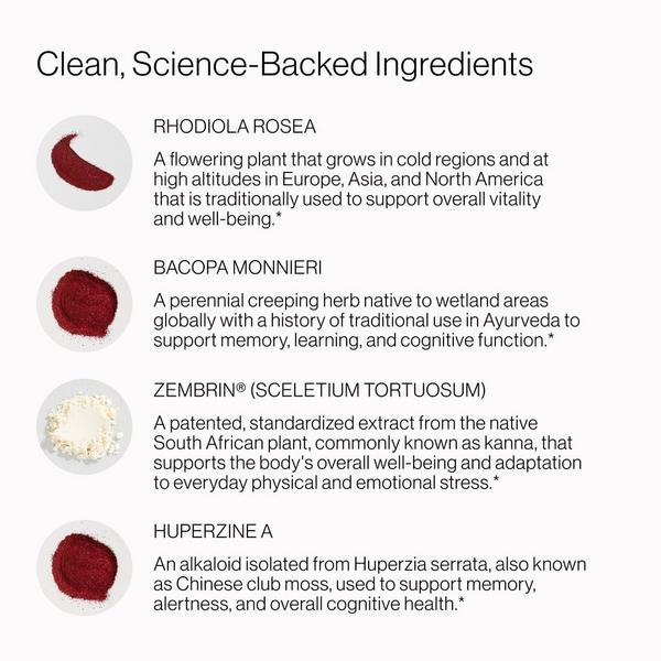 Cymbiotika Liposomal Brain Complex #4