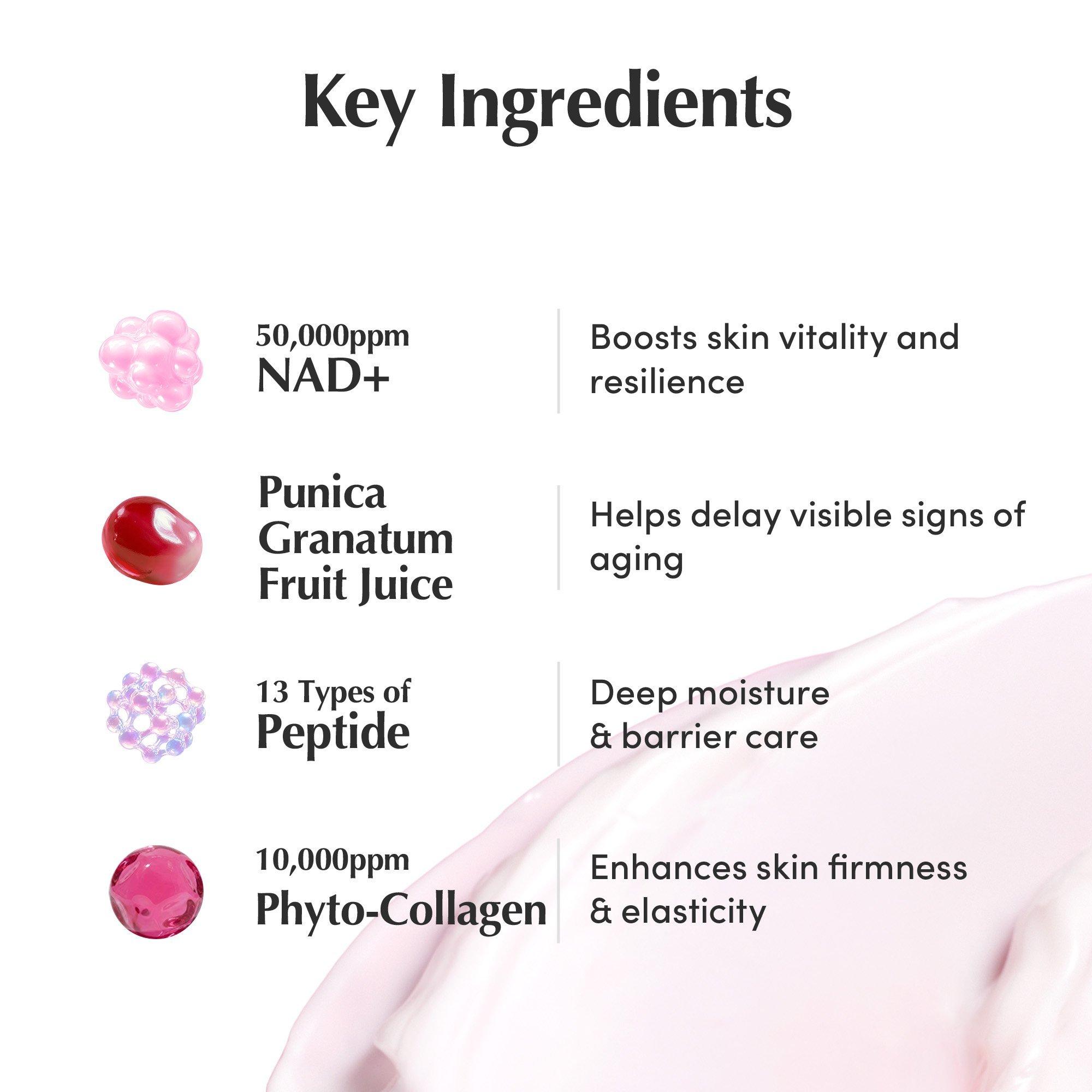 EQQUALBERRY NAD+Peptide Boosting Cream — фото 4